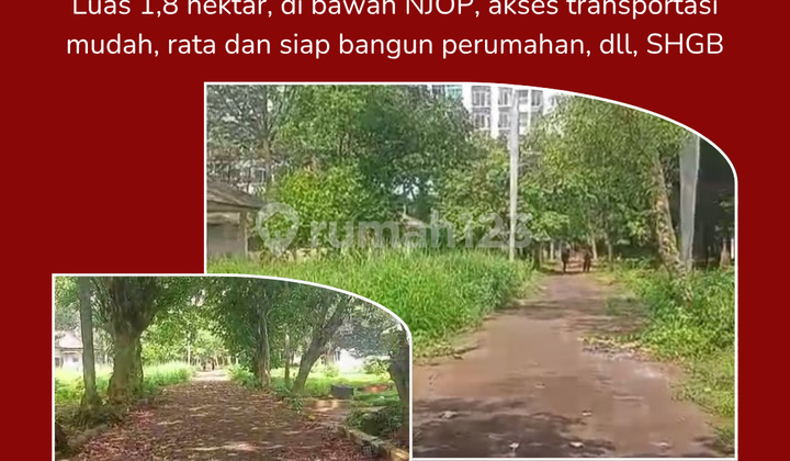 Tanah 1,8 Hektar Murah Dibawah NJOP Kalibata Pancoran 1
