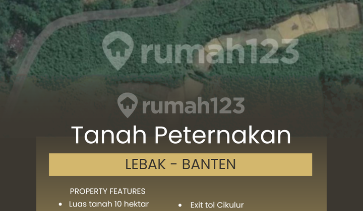 FOR SALE FARM LAND IN LEBAK BANTEN