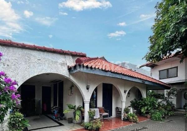 Rumah Tua 1500 Meter di Salemba Raya - Jakarta Pusat 2