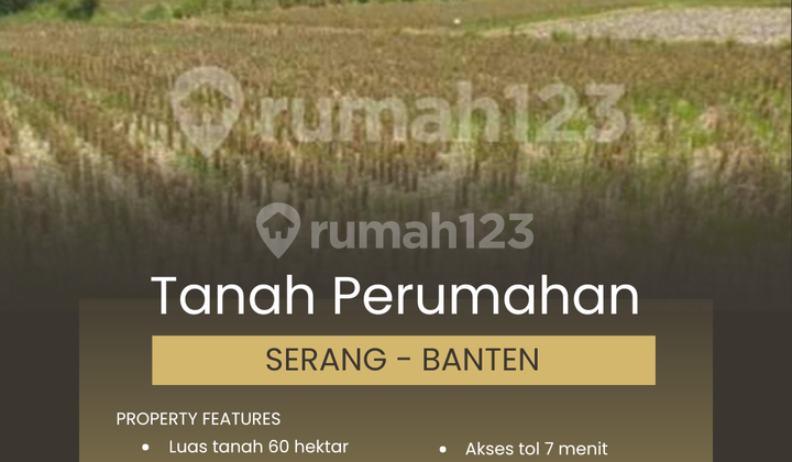 Tanah Perumahan 60 Hektar di Serang - Banten Tanah Perumahan 60 Hektar di Serang - Banten