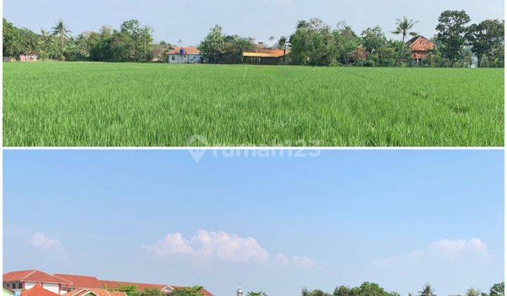 Tanah Sawah 1,3 Hektar Jati Baru, Karawang 2