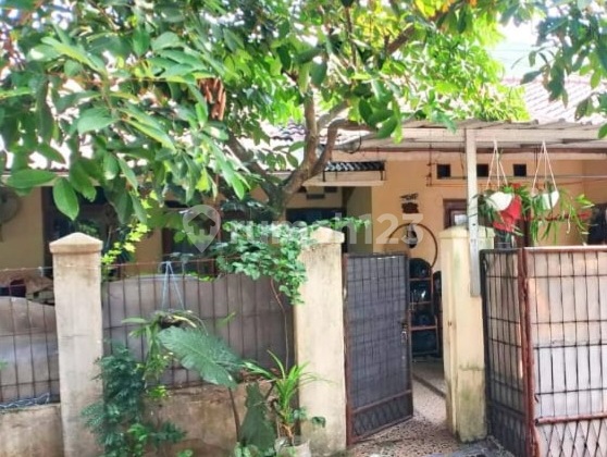 Rumah Mungil Dekat Pintu Tol Rumah Mungil Dekat Pintu Tol