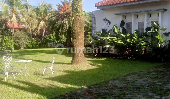 Miliki Rumah Mewah dengan Halaman Luas 2