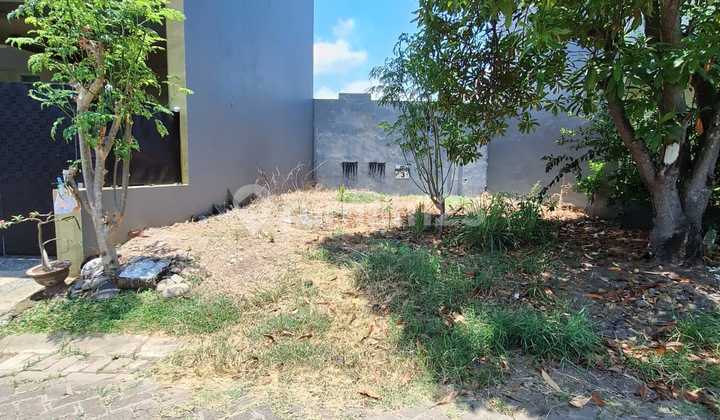 Tanah Siap Bangun Bebas Banjir di Tanjung Bunga