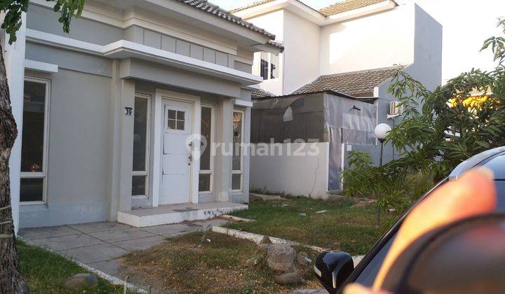 Rumah di Amarylis Tanjung Bunga Dekat Ke Grand Toserba  2