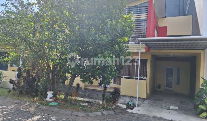 2-story house for rent in Elysium Tanjung Bunga near Grand Toserba