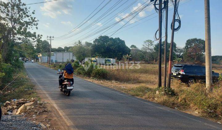 Tanah 1 Ha Dekat Ke Bandara Cocok Untuk Perumahan 2