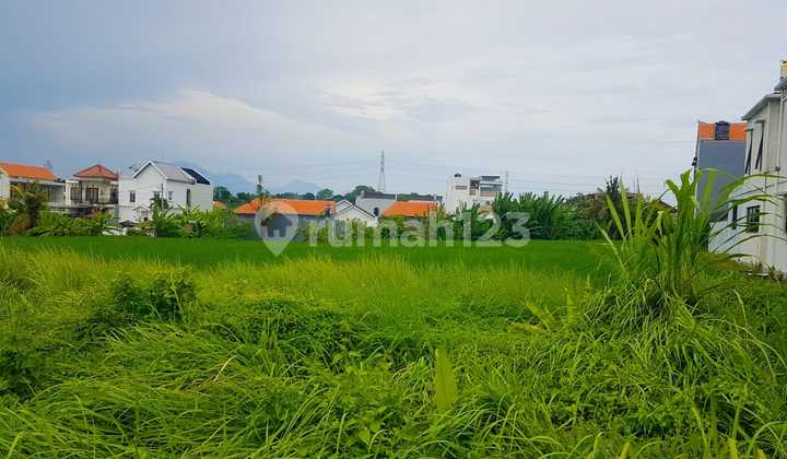 Dijual Tanah 120.0 M² Shm Dekat Pantai Kedungu Lc Dijual Tanah 120.0 M² Shm Dekat Pantai Kedungu Lc