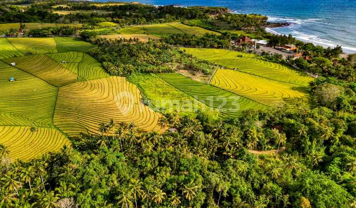 Dijual Tanah 37 Are Dekat Pantai Soka Tabanan Dd