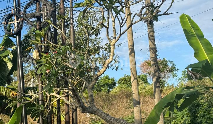 Dijual Tanah 300.0 M² Shm View Tol Benoa Ho