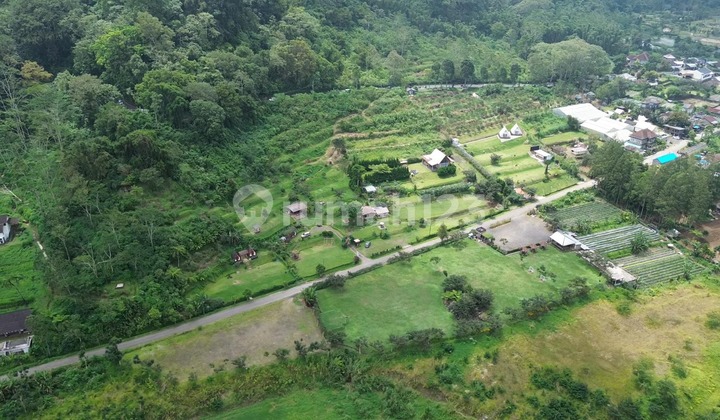 For Sale 18585.0 M² Land with SHM in Bedugul, Bali
