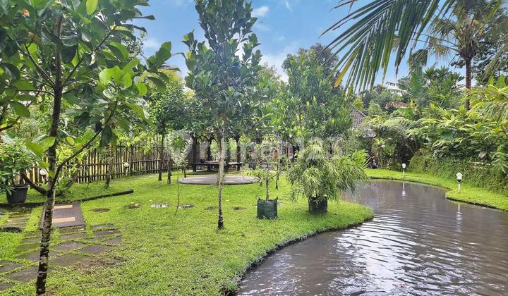 Dijual Villa 3 Kamar Halaman Luas Di Marga Tabanan It