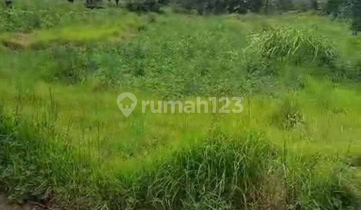 Dijual Tanah 1.8 Hektar View Pantai Dan Gunung Agung Jl Dijual Tanah 1.8 Hektar View Pantai Dan Gunung Agung Jl