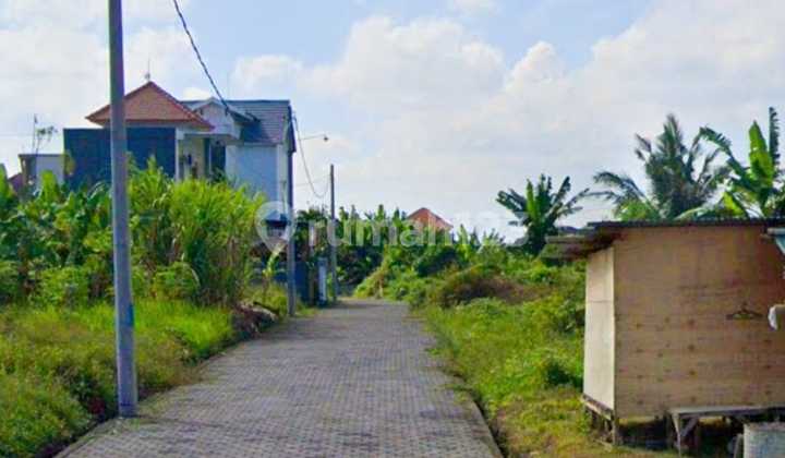 Dijual Tanah 1.2 Are View Sawah Di Lingkungan Villa Kedungu Lc Dijual Tanah 1.2 Are View Sawah Di Lingkungan Villa Kedungu Lc