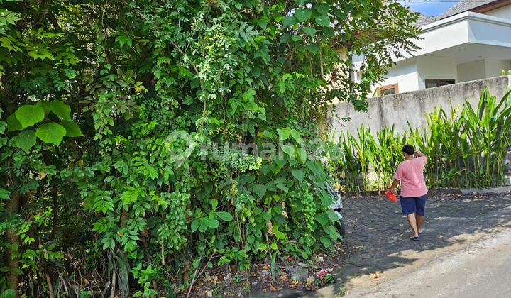 Tanah 250.0 M² Shm Posisi Hook Di Pererenan Gp