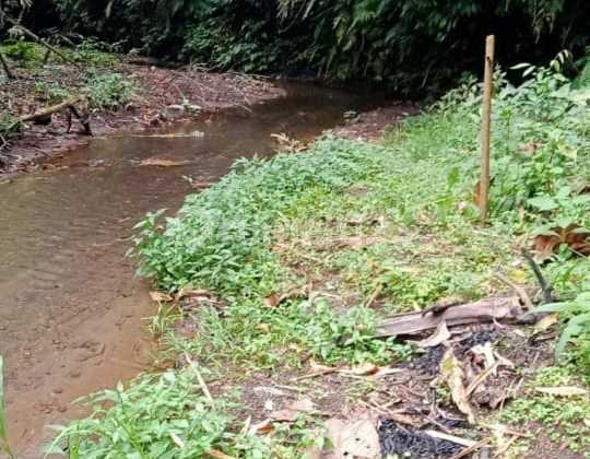 Dijual Tanah 3.9 Hektar Di Sebelah Hotel Anantara Ubud Ev