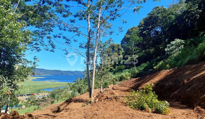 Dijual Tanah 60 Are View Pegunungan Di Bedugul Ri