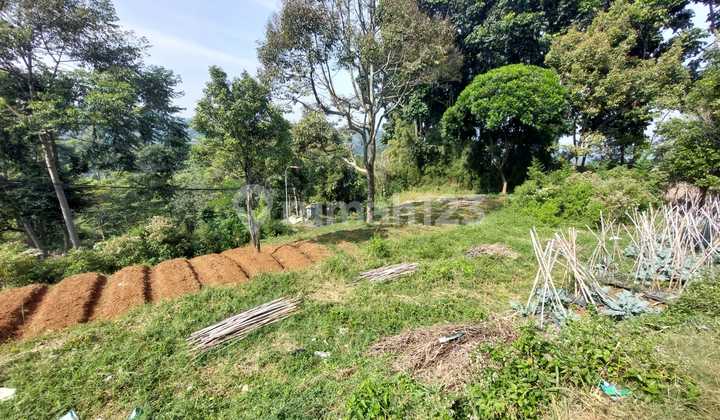 Tanah Matang Dago Giri Bandung Ciumbuleuit Lembang Cigadung Punclut Pagerwangi Bukit Dago