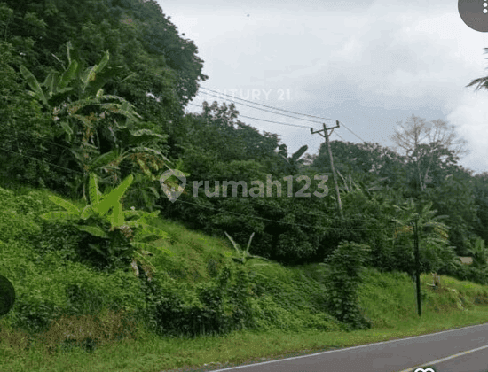 Tanah Kavling Siap Bangun Letak Strategis Di Manado 2