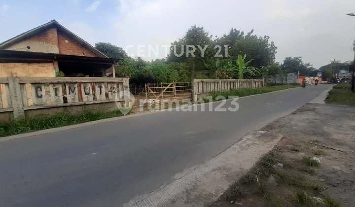 Land Area of 1,320 M² Near Grand Vista Housing Complex Land Area of 1,320 M² Near Grand Vista Housing Complex