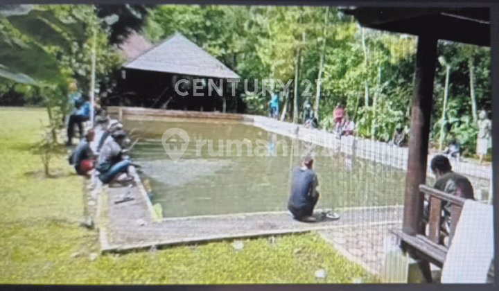 Exclusive Villa with a Cool, Serene Natural Atmosphere in Tapos Ciawi 2