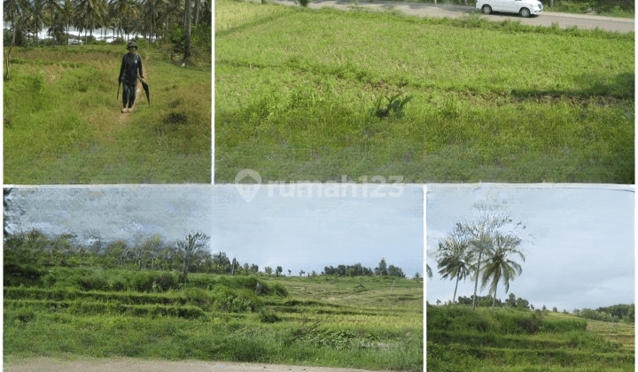 Di Jual Tanah Seluas 46,000 M2, Bayah, Lebak, Banten 1