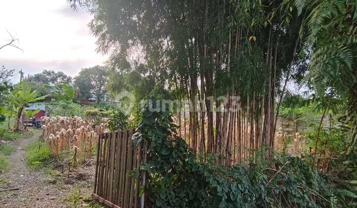 Dijual Tanah seluas 883 m2 & 880 m2, Padang Bulan, Medan Selayang.