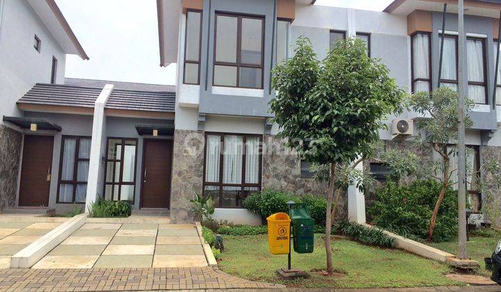 Rumah Disewakan Avani Nitaya Bsd City Bagus & Rapi 1