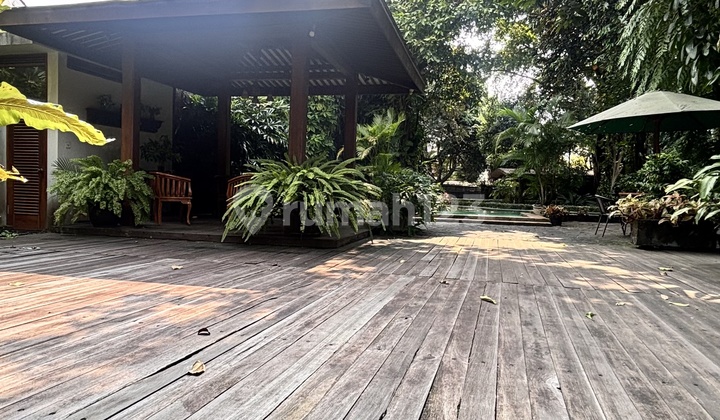 Rumah Otentik & Tanah Luas Di Jakarta Selatan Rumah Otentik & Tanah Luas Di Jakarta Selatan