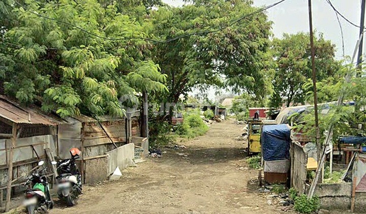 Tanah Murah Siap Pakai Di Cakung Jakarta Timur Tanah Murah Siap Pakai Di Cakung Jakarta Timur