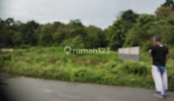 Tanah di lokasi Strategis Dekat Kebun Raya Kendari. Pinggir jalan 2