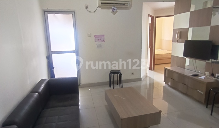 Apartemen Mediterania Gajah Mada Tipe 3 Br Full Furnished Free IPL 1