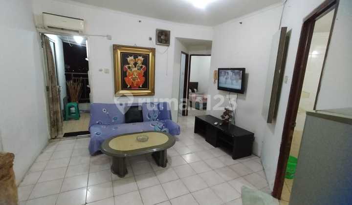 Apartemen Mediterania Gajah Msda Tipe 3 Br Full Furnished Jual Cepat 1