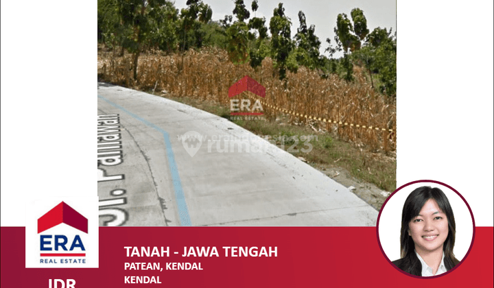 Tanah Patean Kendal Jawa Tengah 1