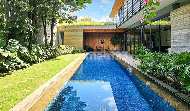Rumah Mewah Gaya Tropical Modern Dengan Private Pool Di Cilandak Jakarta Selatan