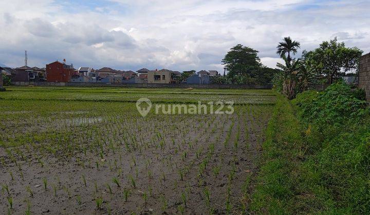 Tanah Sawah Aktif 1,6 Ha SHM Cocok U Perumahan Area Margacinta 2