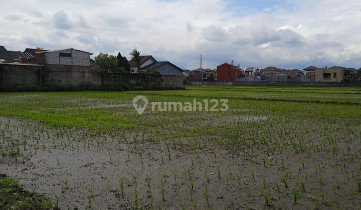 Tanah Sawah Aktif 1,6 Ha SHM Cocok U Perumahan Area Margacinta 2