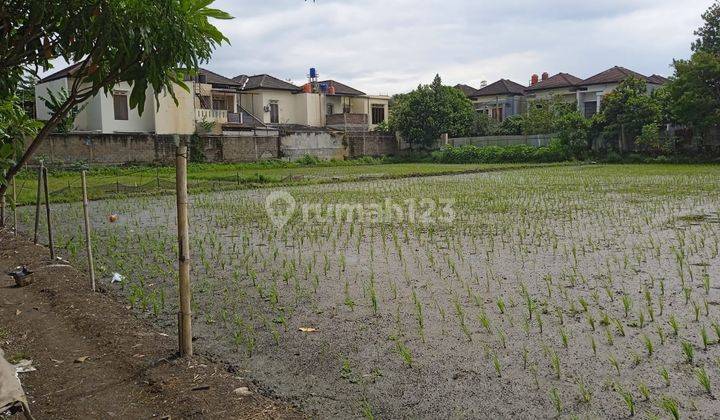 Tanah Sawah Aktif 1,6 Ha SHM Cocok U Perumahan Area Margacinta 1