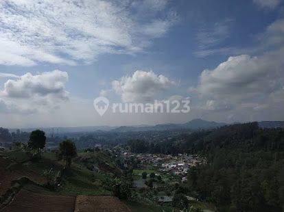 Villa Bagus Terawat dan Siap Huni di Cimacan, Cipanas Bogor Jawa Barat 7