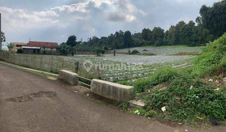 Tanah Siap Bangun di Cisarua, Lembang Bandung, Jawa Barat 1