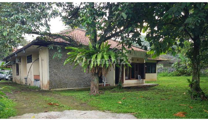 Dijual tanah SHM dengan tanaman buah produktif 5