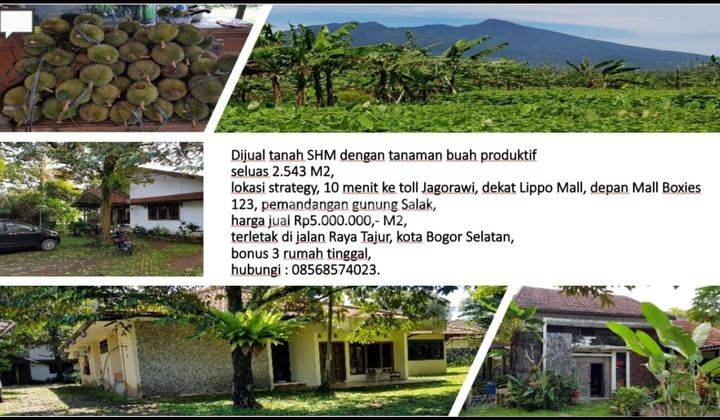 Dijual tanah SHM dengan tanaman buah produktif 6
