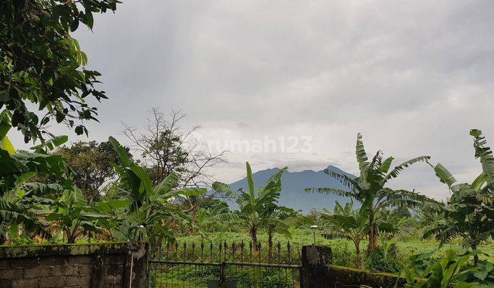 Dijual tanah SHM dengan tanaman buah produktif 7