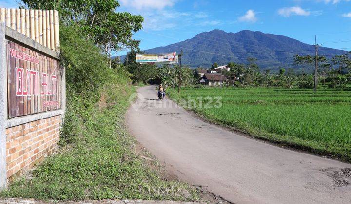 lahan bumi perkemahan, mata air, cicurug 2