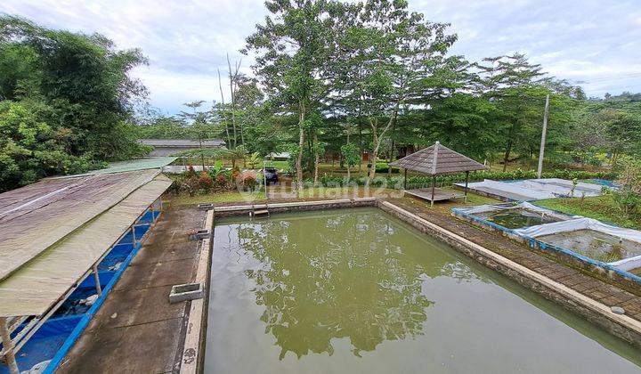 lahan bumi perkemahan, mata air, cicurug 17