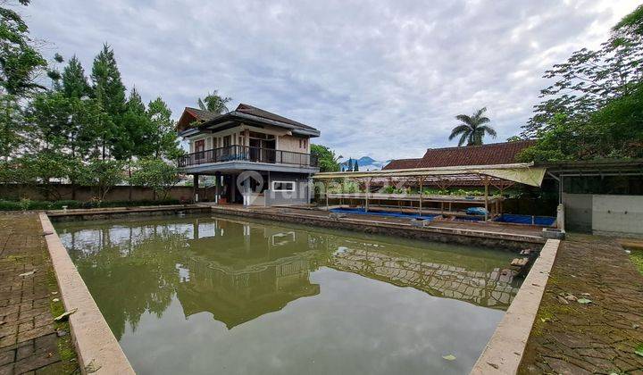 lahan bumi perkemahan, mata air, cicurug 18