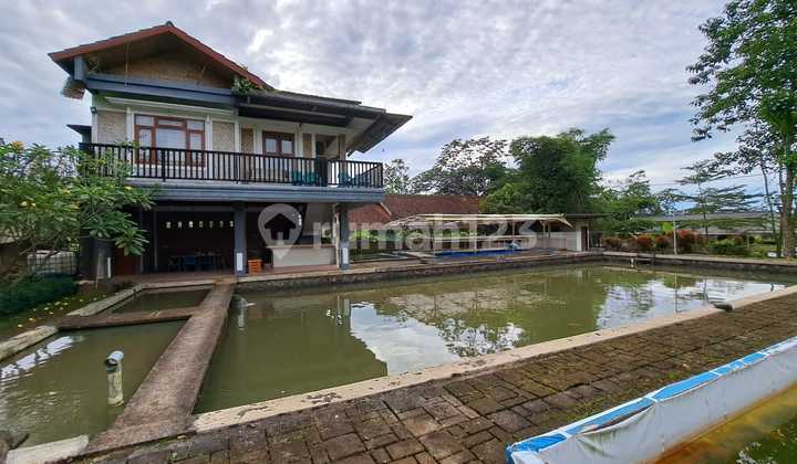 lahan bumi perkemahan, mata air, cicurug 19