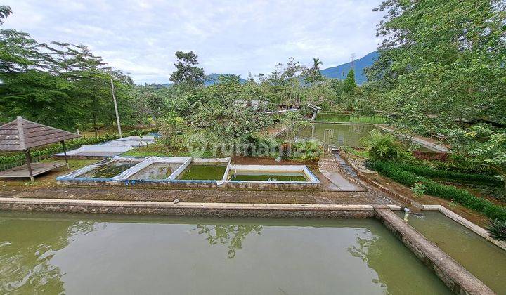 lahan bumi perkemahan, mata air, cicurug 21