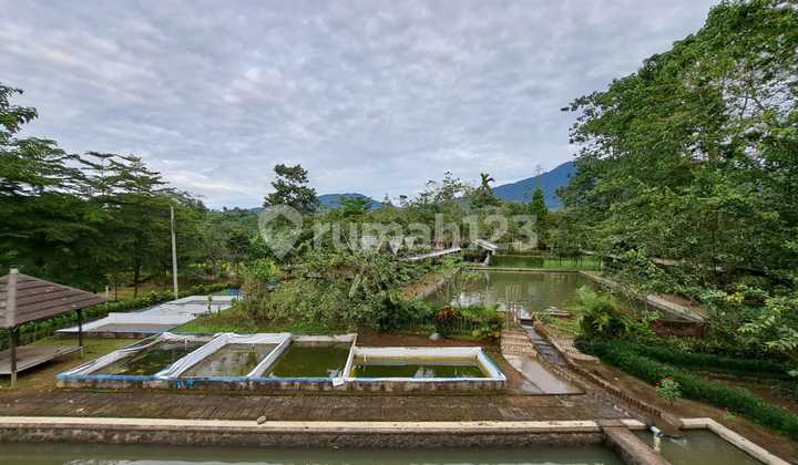 lahan bumi perkemahan, mata air, cicurug 22