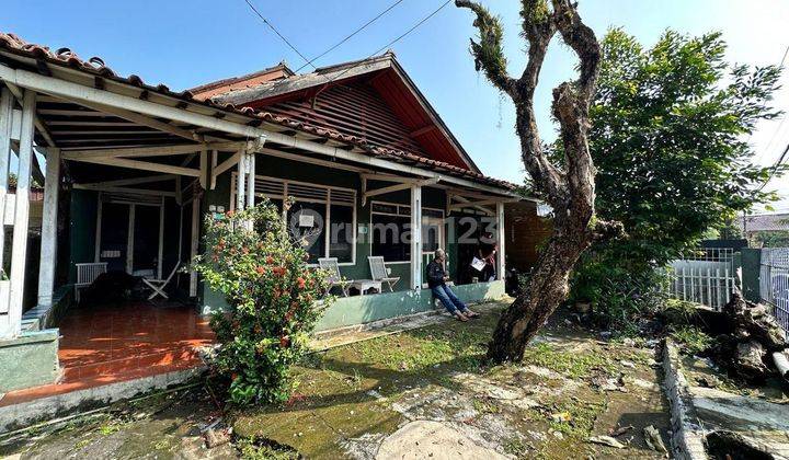 Rumah komersil pinggir jalan cimanggu 1